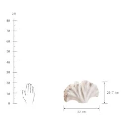 Deko-Objekt Blatt Höhe 21cm GINKGO In Creme 10 Deko-Objekt Blatt Höhe 21cm GINKGO In Creme -Butlers butlers deko objekt blatt hohe 21cm ginkgo in creme 3