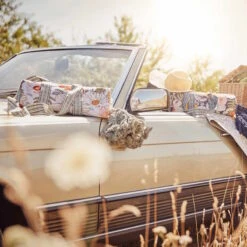 Picknickdecke L 175 X B 154cm BETWEEN FLOWERS In Dunkelblau 21 Picknickdecke L 175 X B 154cm BETWEEN FLOWERS In Dunkelblau -Butlers butlers picknickdecke l 175 x b 154cm between flowers in dunkelblau 9